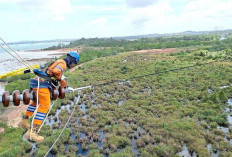 Wujud Kontribusi ke Negara, PLN Setor Rp65,59 Triliun lewat Dividen, Pajak, dan PNBP