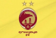 Beredar di Medsos Jersey Anyar Sriwijaya FC Untuk Liga 2 Musim 2024-2025, Netizen: Pemainnyo Mano?