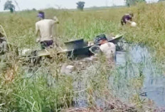 Ramai Datangi Lebak Aur Duri, Warga Berburu Butiran Emas 
