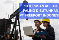 Bergaji Tinggi di PT Freeport Indonesia, Ini 10 Jurusan Kuliah Paling Dicari BUMN Penambang Emas Tersebut