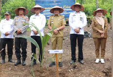 Dukung Ketahanan Pangan, Tanam 255 Pohon Kelapa 