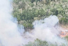 Sehari Tak Turun Hujan, Karhutla Lagi, Terjadi di OKI, Muara Enim, Muba, dan Banyuasin