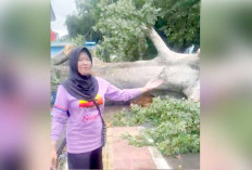 Timpa Pagar Kantor Lurah, Tutup Akses Jalan