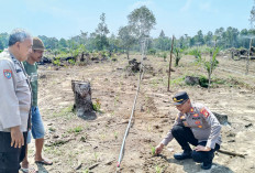 Pertumbuhan Tanaman Jagung Melambat Karena Kemarau, Polsek Rambang Dampingi Warga Berupaya Cari Solusi