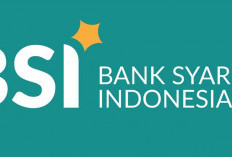 Gagal Survey Saat Pengajuan Pinjaman di Bank BSI. Jangan Khawatir, Ikuti Tips Berikut Agar Pinjaman di ACC