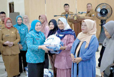 TP PKK Palembang Distribusikan PMT ke Bumil yang Berisiko Lahirkan Bayi Stunting, Ini Tujuannya