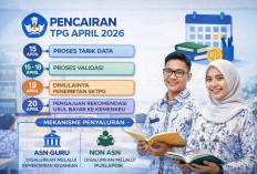 Info Bagi Guru Serdik! Begini Alur Pencairan TPG April 2026 dari Awal hingga Cair