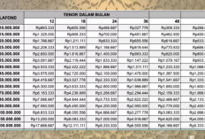 Update Simulasi Cicilan Pinjaman Bank BSI Mei 2025: Pilihan Terbaik untuk Usaha Anda