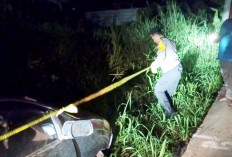 Innova Dilempari Batu, Sopir Terluka