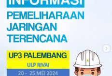 INFO PEMADAMAN LISTRIK: PLN Lakukan Pemeliharaan Jaringan, Ini Beberapa Wilayah di Palembang yang Terdampak!