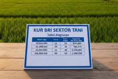 Bank Rakyat Indonesia Hadirkan KUR Sektor Tani, Nafas Baru bagi Petani Menuju Kemandirian