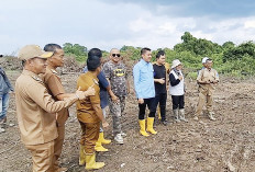 Cetak 350 H Sawah, Januari Siap Tanam