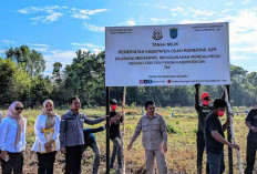 Kejari OKI Pasang Plang di Hutan Kota Kayuagung, Ini Alasannya!