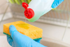 Kapan Waktu yang Tepat untuk Mengganti Sponge Cuci Piring? Ini Penjelasannya!