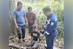  Edan, Bocah 4 Tahun Dicabuli Paman Sendiri, Mengaku Kerasukan