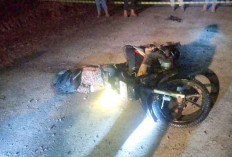 Pemburu Ayam Hutan di Muara Enim Tewas Diduga Tersambar Petir