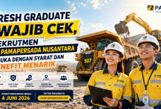 Buruan Daftar! Rekrutmen PT Pama 2026 Resmi Dibuka, Fresh Graduate Berpeluang Karier Gemilang