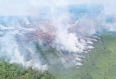 Cuaca Terik Ekstrem Karhutla Meluas Lagi, 243 Kali waterbombing ke Pangkalan Lampam, Sungai Menang, Gelumbang 