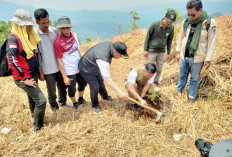 PJ Bupati Lahat Imam Pasli Tanam Pohon di Jalur Pendakian Bukit Besak untuk Pelestarian Lingkungan