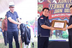 Unik! Gelar Kontes Kambing dan Domba Untuk Kalangan Peternak, Ini Tujuan Bupati OKU Timur 