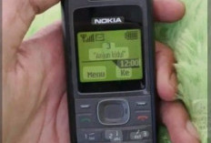 Fenomena Nokia Jadul Naik Daun Lagi, Kenapa Masih Diminati?