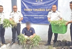  Jadikan Lahan Produktif dan Bernilai Ekonomis