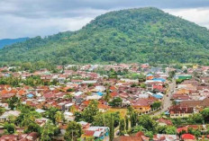 Pemangkasan Anggaran, Jalan Tol Palembang-Bengkulu 'Mengambang'