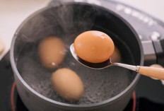 Cara Melakukan Diet Telur Rebus Agar Sukses Pangkas BB 