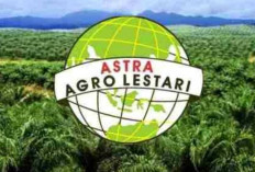 Kabar Baik, PT Astra Agro Lestari Tbk Buka Lowongan Kerja Nih, Berikut Kualifikasi dan Link Pendaftarannya!