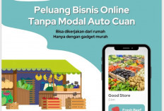 Tahun 2025, Bisnis Tanpa Modal Bukan Mimpi, Ini 5 Jasa Online yang Bisa Kamu Jalankan dari Rumah 