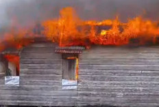 5 Rumah Warga di Gandus Hangus Dilalap Api, Warga Panik Selamatkan Harta Benda