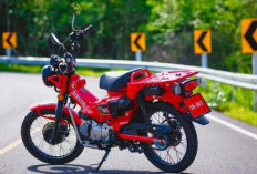 Honda CT125 Hunter Cub Terbaru Resmi Meluncur, Motor Petualang Ikonik Dibanderol Sekitar Rp53 Jutaan