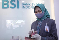 Bank BSI dan BRI Mengincarnya! Lulusan dari 11Jurusan Ini Menjadi Primadona Bank BUMN