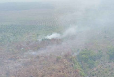 Musim Penghujan, Pangkalan Lampam Masih Karhutla 