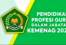 69.757 Guru Berhasil Lulus PPG Kemenag 2025, Ini Rinciannya Berdasarkan Kategori dan Usia