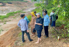 Dewan Pertanyakan BSP Klaim Tanah Kaplingan Masuk HGU