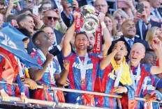 Resmi Dicoret, Crystal Palace Turun Kasta
