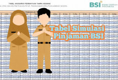 Bank BSI Buka Pinjaman Syariah Tanpa Agunan untuk Guru Bersertifikat, Plafon Tembus Rp100 Juta