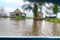 66 Tahun Belum Ada Listrik, Puluhan Warga Lebak Pedamaran Andalkan Genset