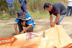 Sempat Dinyatakan Hilang, Bocah 11 Tahun Ini Ditemukan Mengambang di Rawa, Begini Kondisinya  