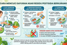 Cara Mencuci Sayuran agar Residu Pestisida Berkurang