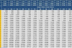 Tabel Angsuran Pinjaman Bank BRI 2025