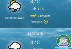 Cuaca Palembang Hari Ini 10 November 2024, Cerah Berawan Sepanjang Hari