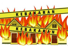 Lahan Terbakar Hampir Capai 6 Ribu Hektare