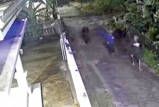 Curanmor Makin Mengganas Di Prabumulih, Tiga Motor di Palem Mutiara Raib dalam Semalam