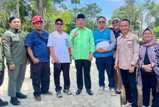 Bupati Lahat Bursah Zarnubi Dorong Listrik Masuk Situs Megalit Tinggi Hari