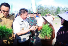 Hadapi El Nino, OKI Jadi Lokus Utama Percepatan Tanam Padi di Sumsel, Target 111 Ribu Hektare
