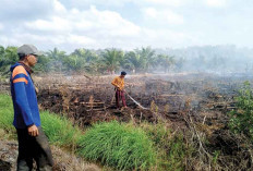 Karhutla Terjadi di Tiga Desa 