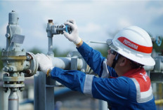 Pertamina EP Fokus Bersihkan Tumpahan Minyak Limau Field