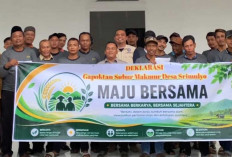 Harga Gabah Naik, Petani Kian Bergairah Tanam Padi
